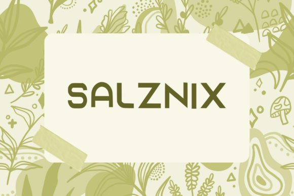 Salzaix: The Quirky Display Font for Handmade Creations
